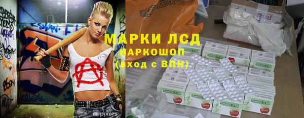 стафф Арсеньев